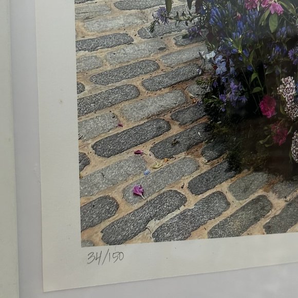 🚨LAST CALL.🚨Flower Flash Print SIGNED Lewis Miller exclusive print [22.5" x 17"] - Picture 5 of 5